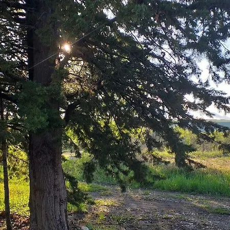 Hébergement de vacances Nature&bien-être Avec Piscine