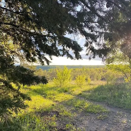 Nature&bien-être Avec Piscine Lincel